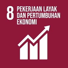 SDG 8